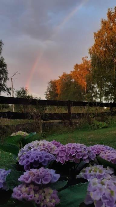 Poggenhagen Urlaub Mitten In Der Natur Neustadt am Rübenberge Kültér fotó